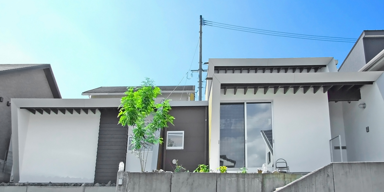 回遊の平家(in合志）